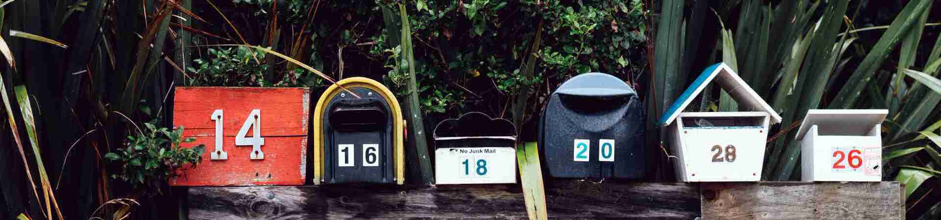Newsletter and Magazine