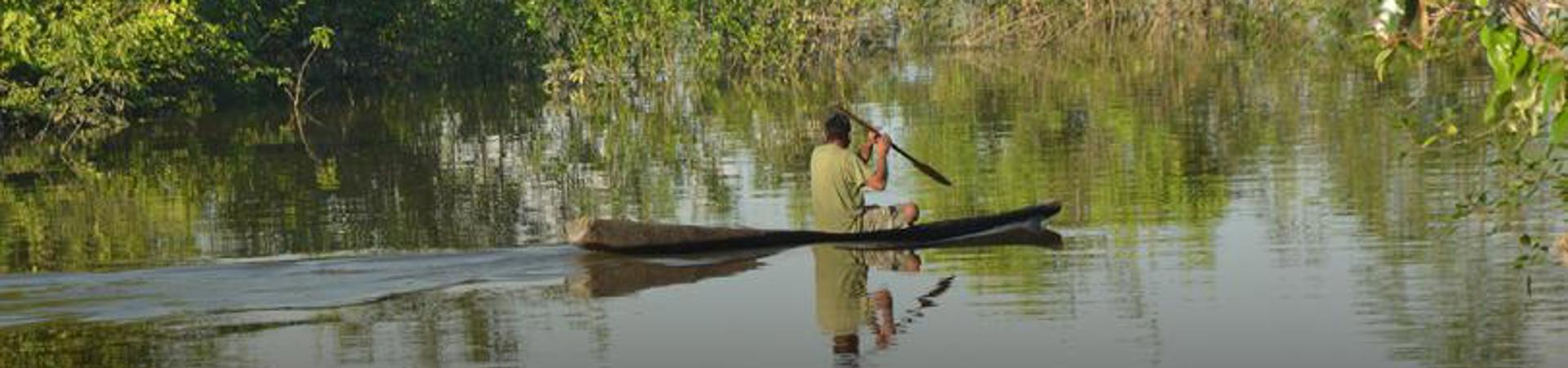 Matavén Forest Conservation: Protecting Colombia's Vital Amazon-Orinoco Transition Zone