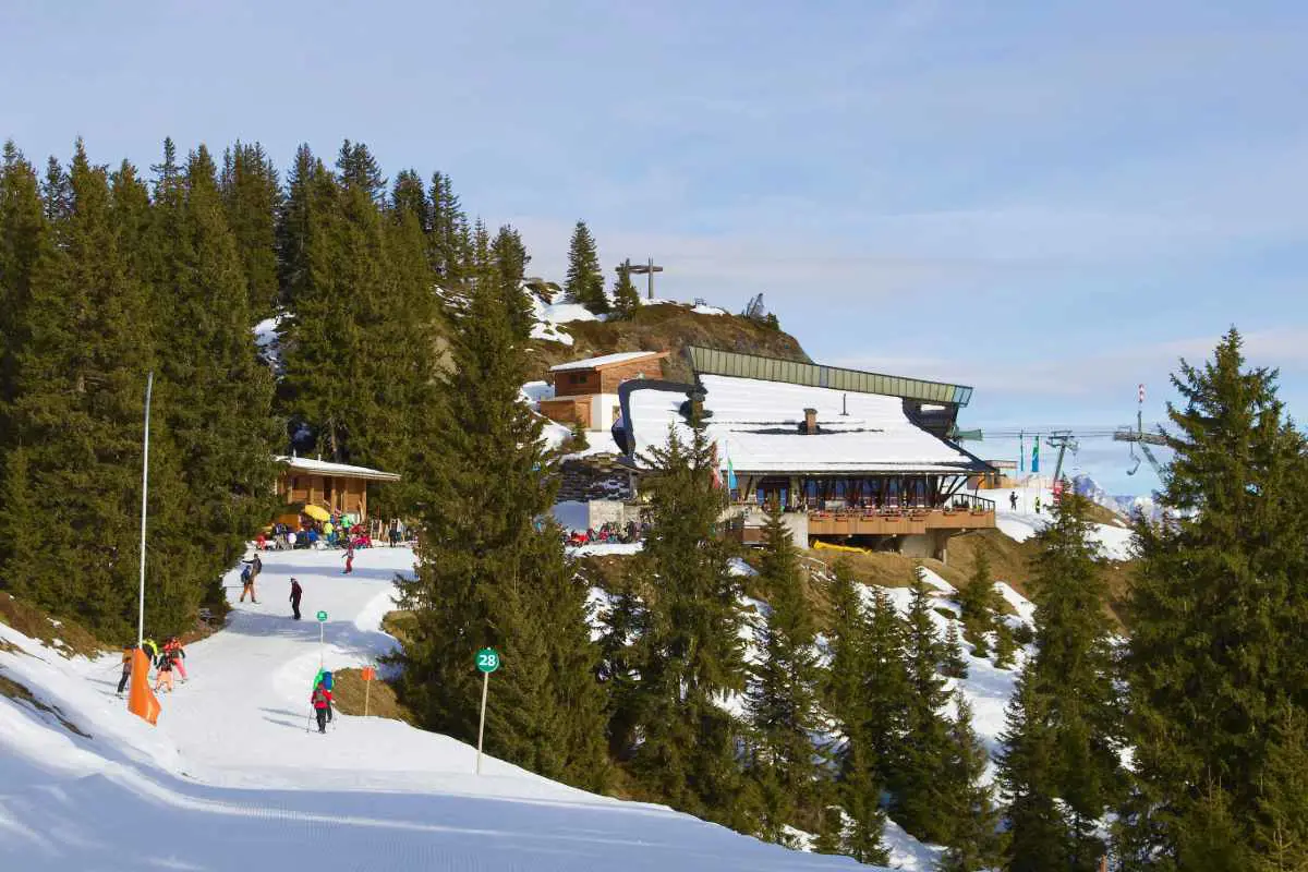 A clear piste through the trees in the Zell am See-Kaprun ski resort in Austria. Photo by Stock Birken from Unsplash 