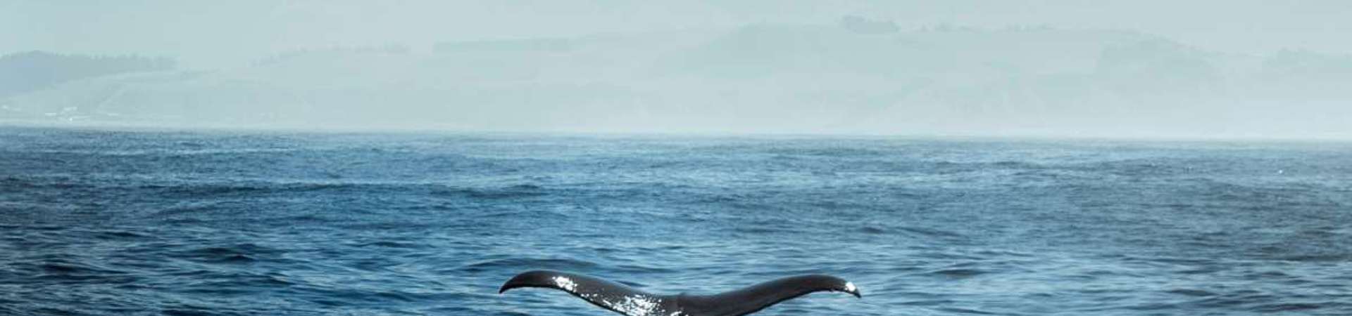 Top 10 Global green and slow travel destinations for 2026