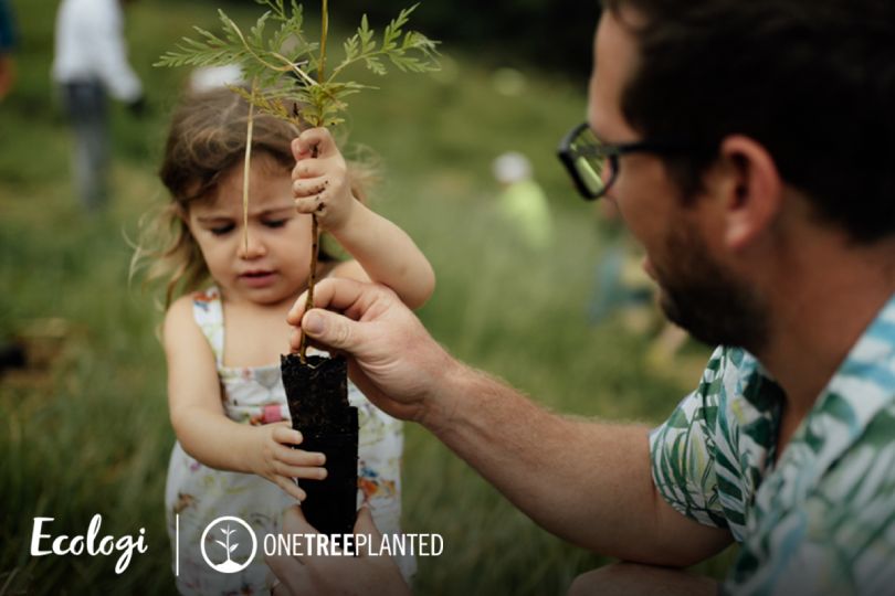 Our Climate Projects