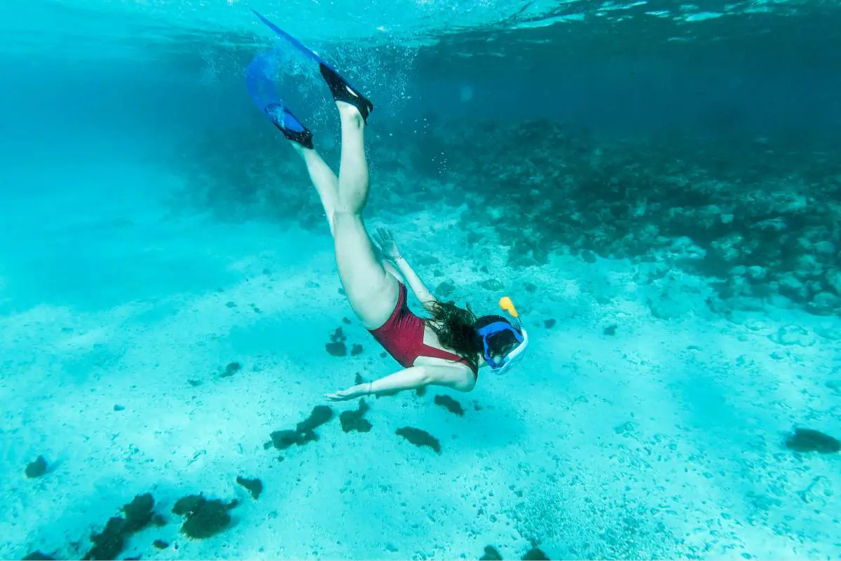 Snorkeler free diving in crystal clear blue water  Tobago cays. Photo by Balthazar Lelievre from Unsplash 