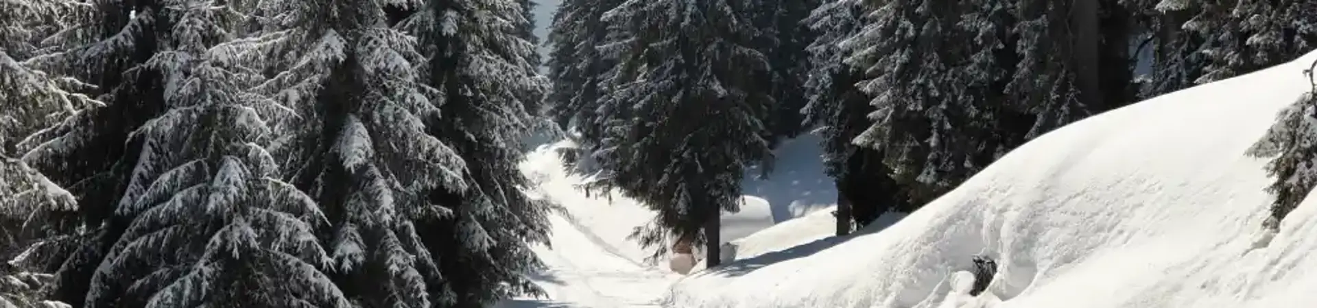Ellmau | Ski Resort Review