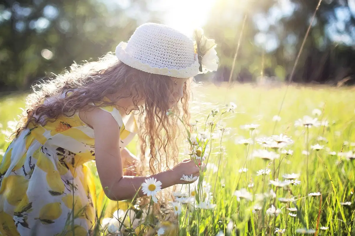 Girl in a field picking daisy's in mid day sunlight. Image By Jill Wellington From Pixabay.