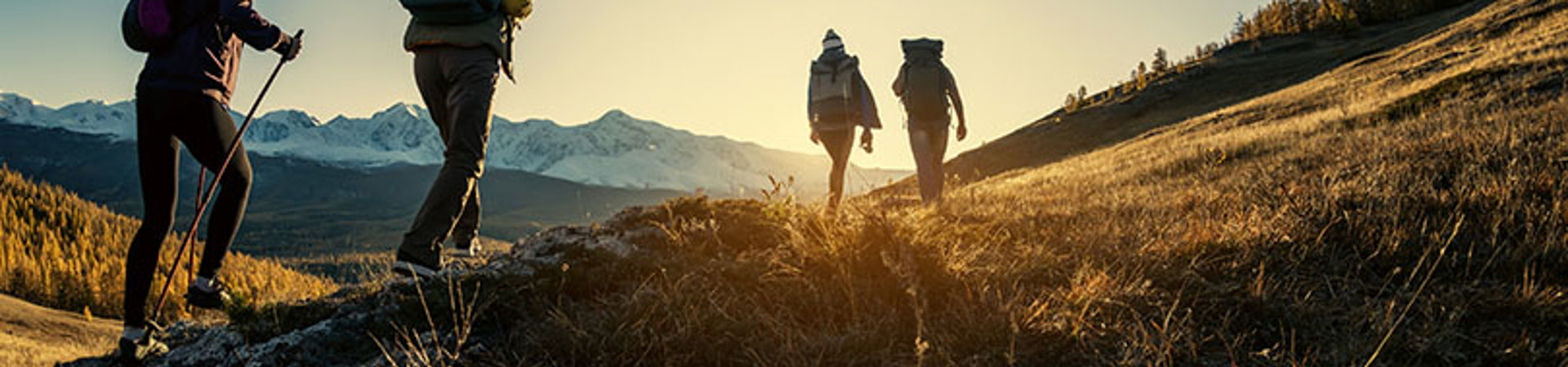 About Exploreo